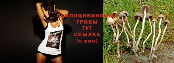 прущая мука Майский