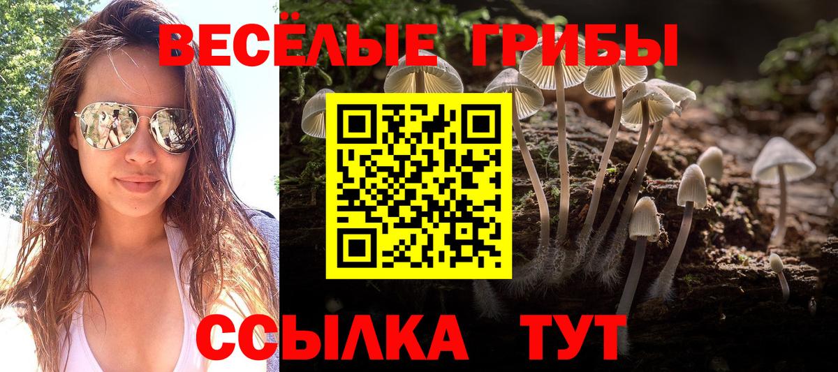 Псилоцибиновые грибы Magic Shrooms  Вход с VPN  Кизляр 