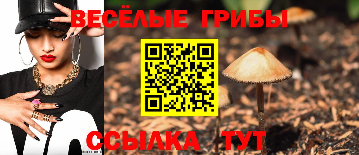 Псилоцибиновые грибы Psilocybine cubensis Кизляр